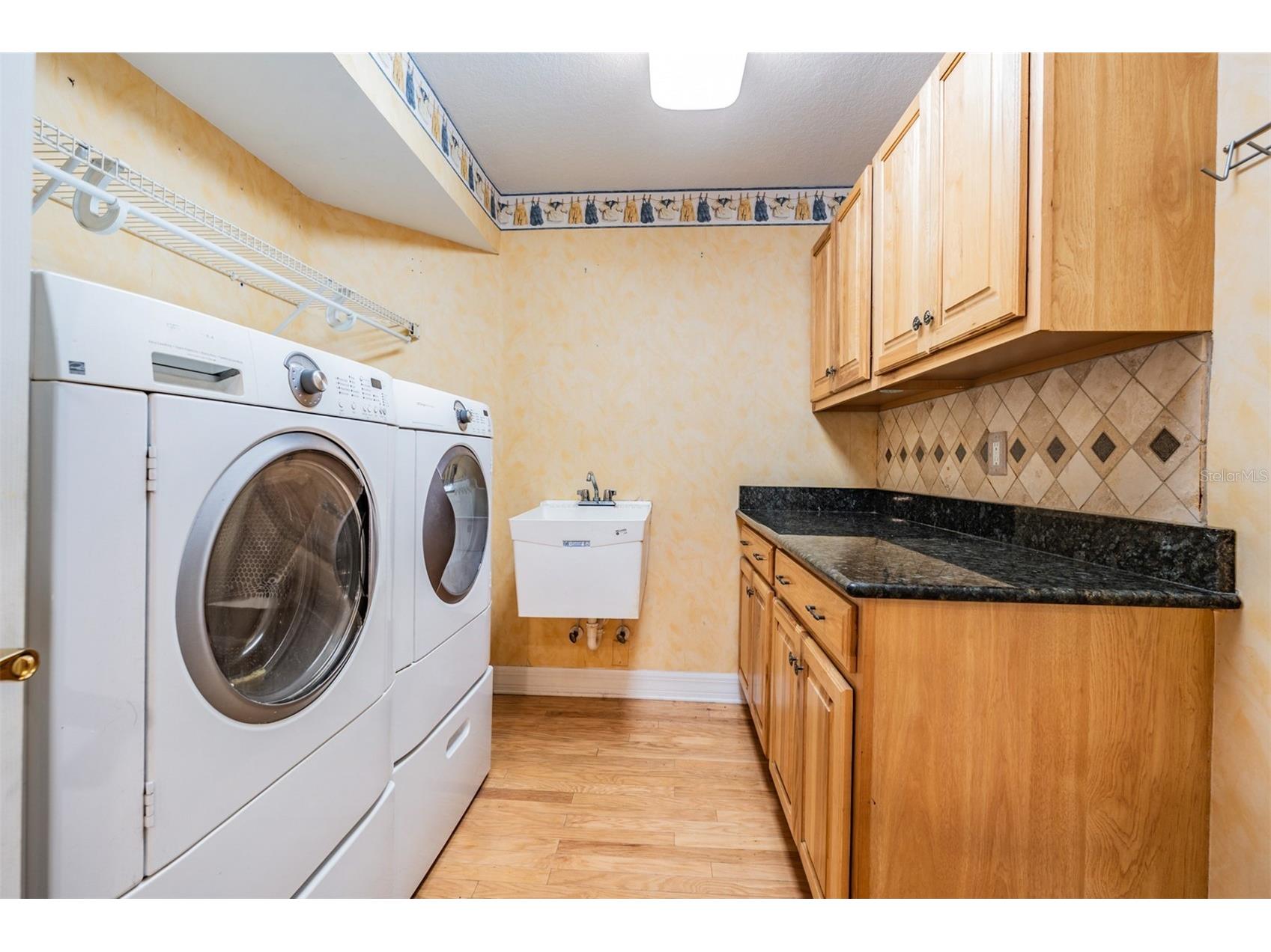 10133 Collar Drive San Antonio FL 33576 TB8470767 image46