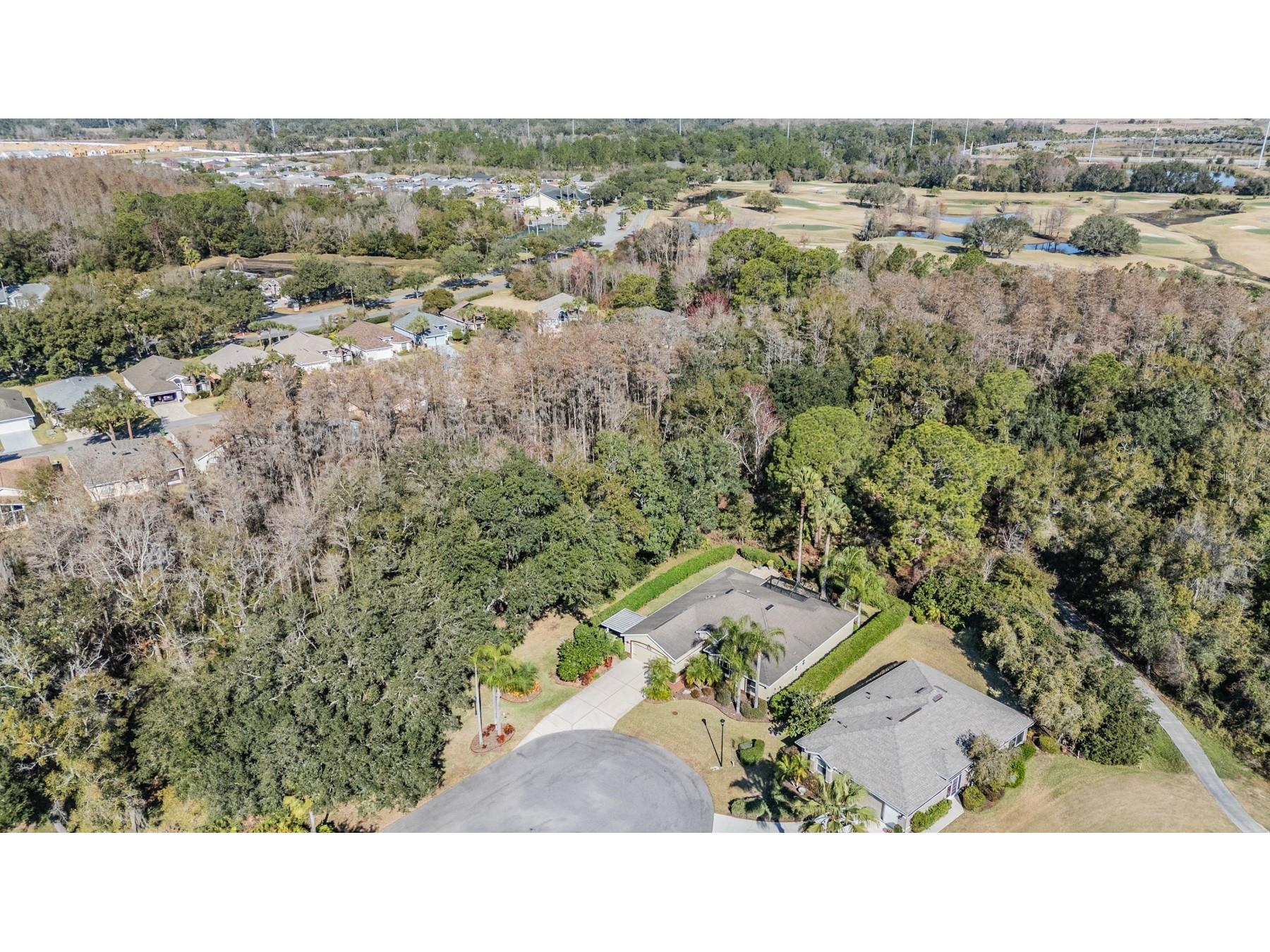 10133 Collar Drive San Antonio FL 33576 TB8470767 image47