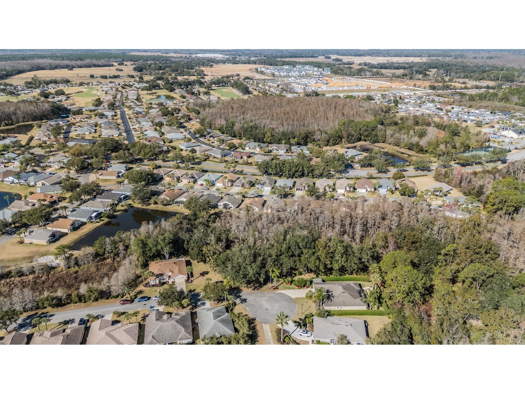 10133 Collar Drive San Antonio FL 33576 TB8470767 image49