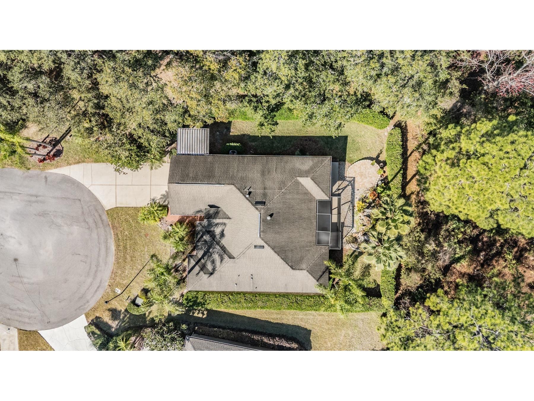 10133 Collar Drive San Antonio FL 33576 TB8470767 image50