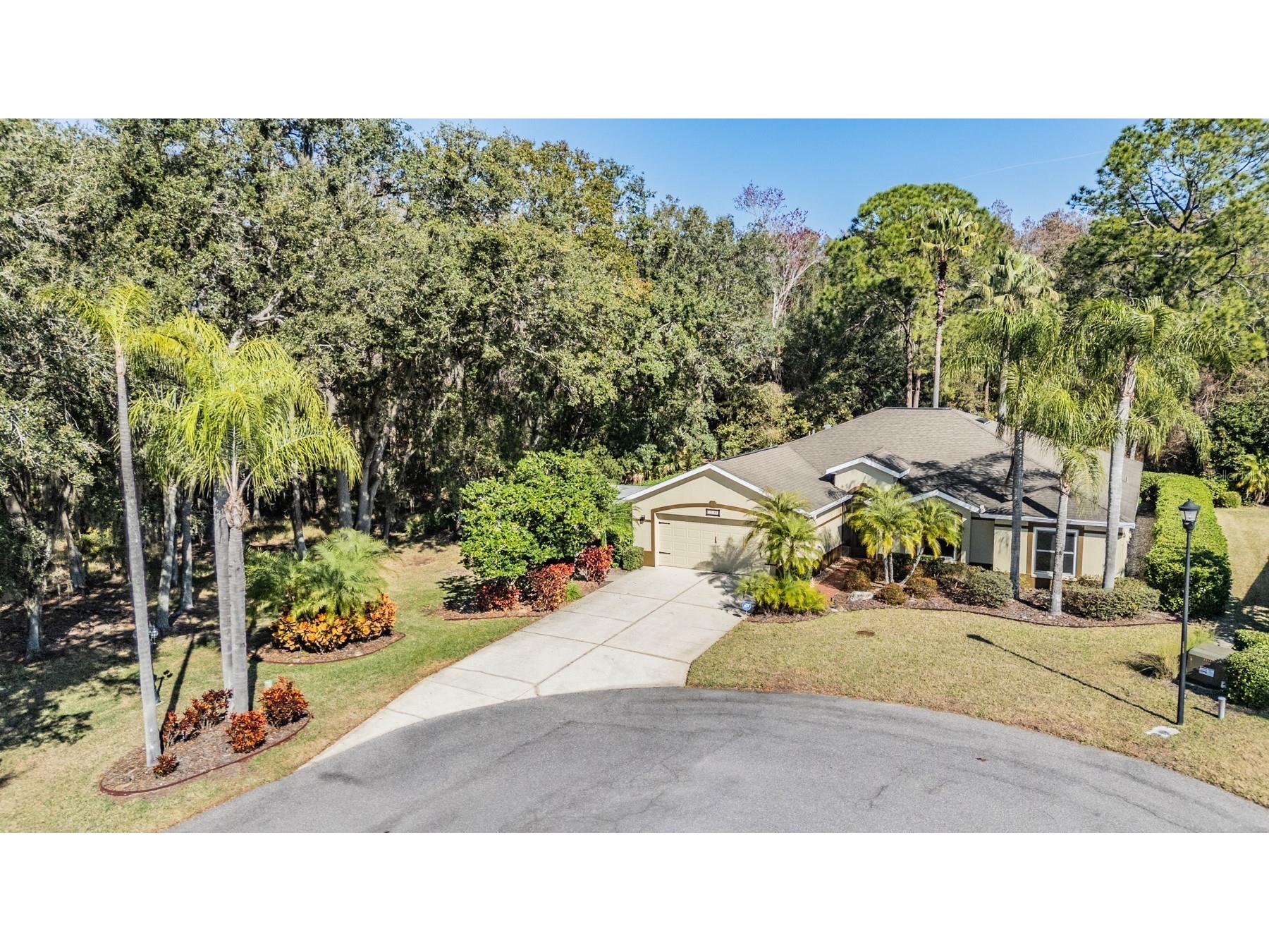 10133 Collar Drive San Antonio FL 33576 TB8470767 image6