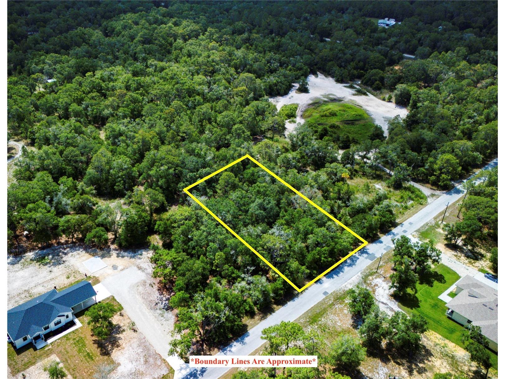 10133 N Marigold Terrace Crystal River FL 34428 A4677675 image1