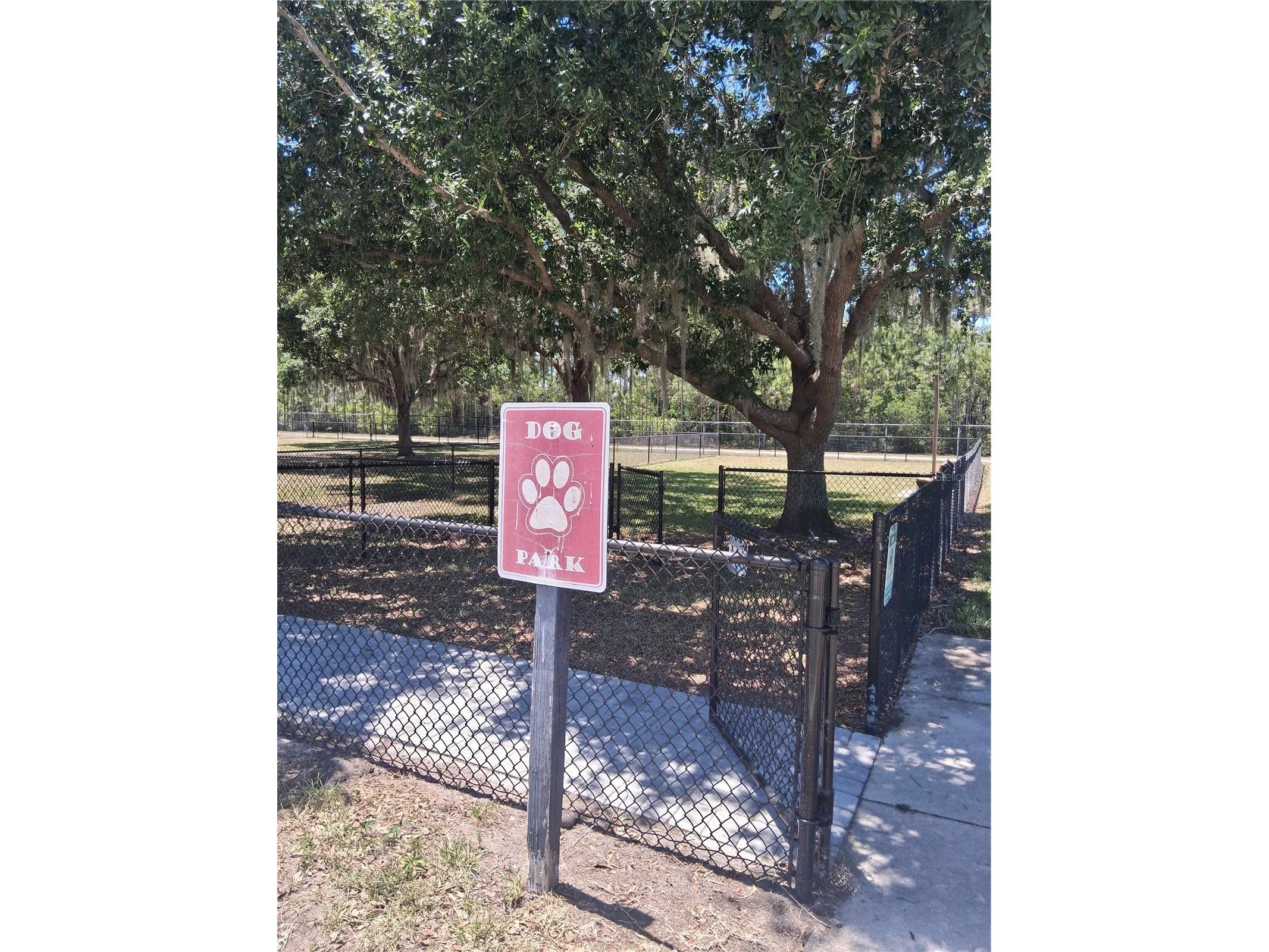 10133 Randolphs Orchard Lane Orlando FL 32827 O6406040 image27