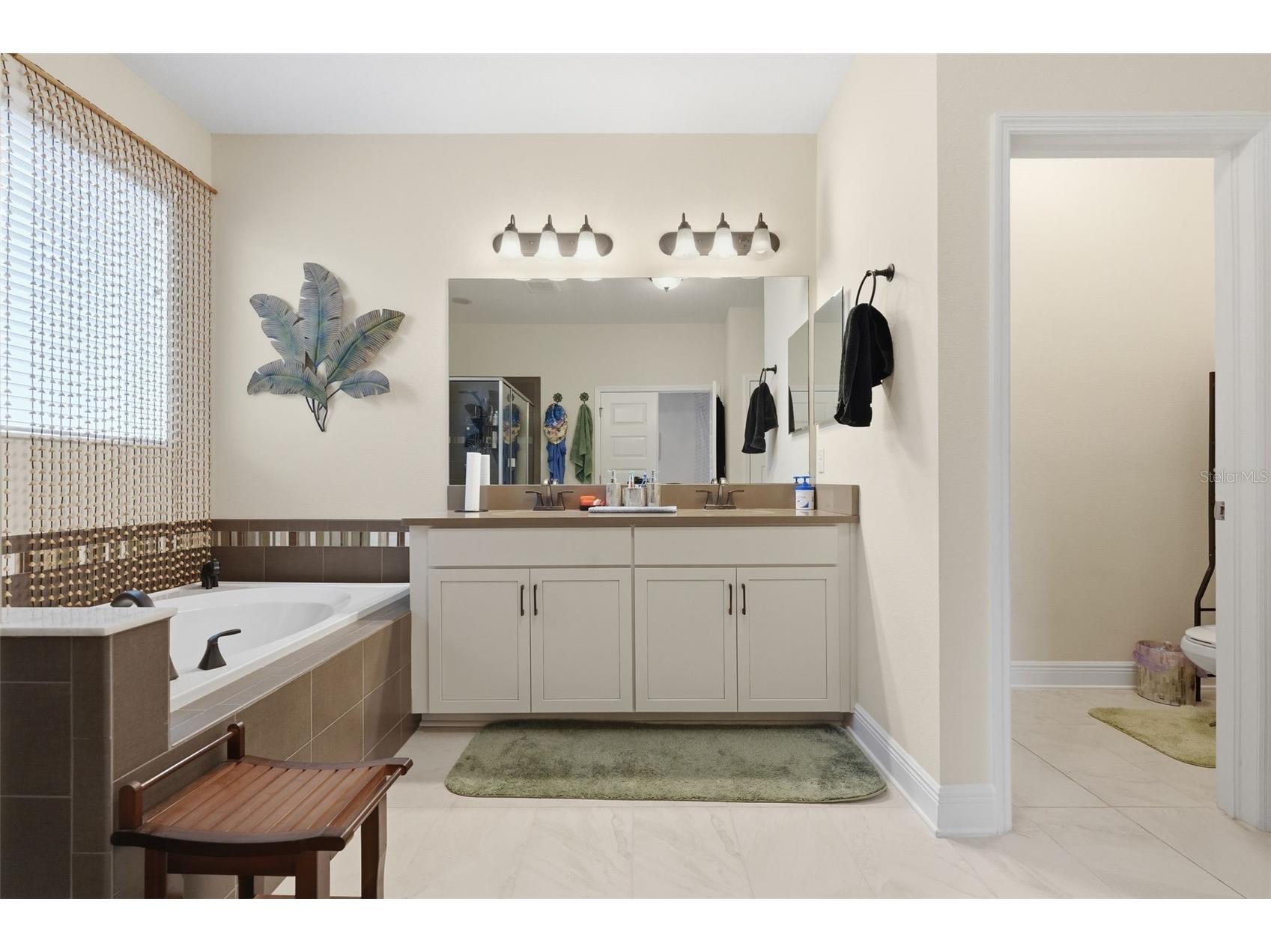 10133 Tuscan Sun Avenue Riverview FL 33578 TB8482082 image24