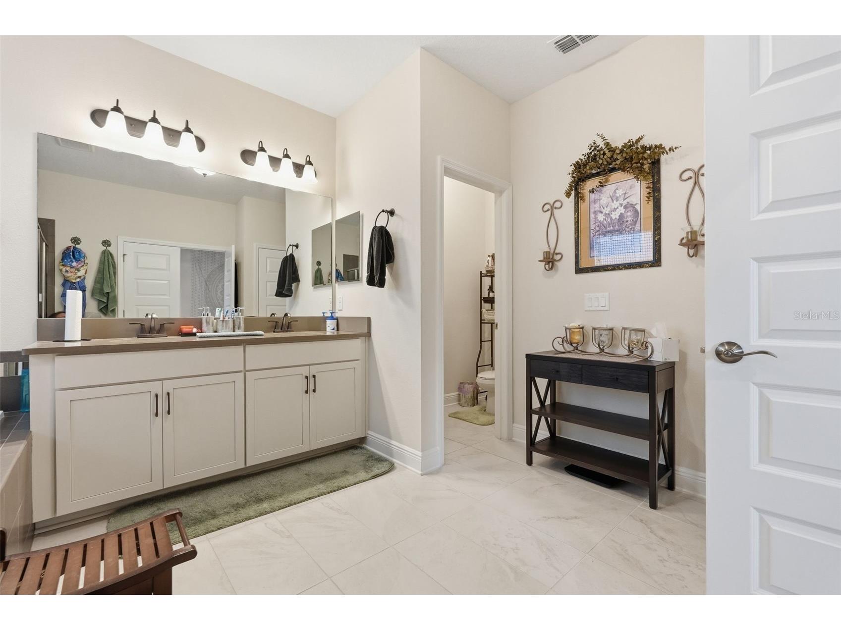 10133 Tuscan Sun Avenue Riverview FL 33578 TB8482082 image25