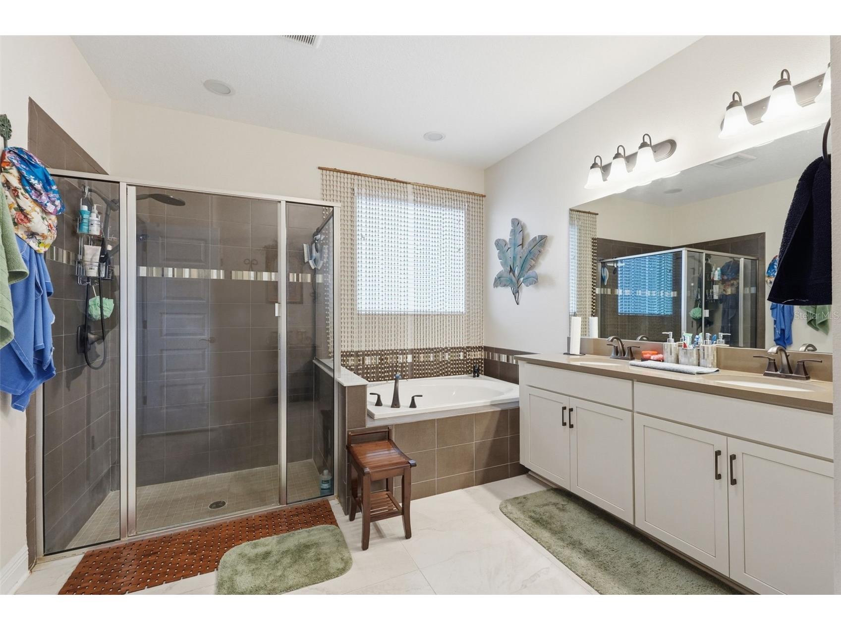 10133 Tuscan Sun Avenue Riverview FL 33578 TB8482082 image26