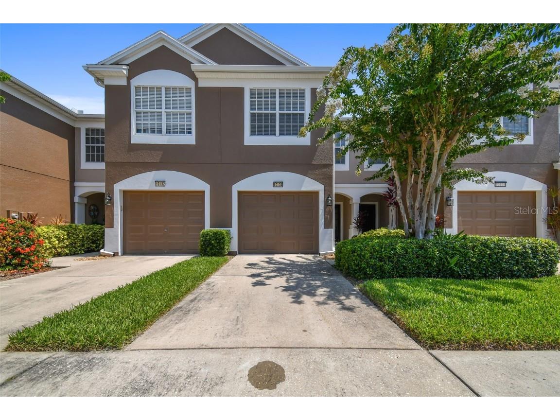 10134 Pink Palmata Court Riverview FL 33578 W7856091 image1