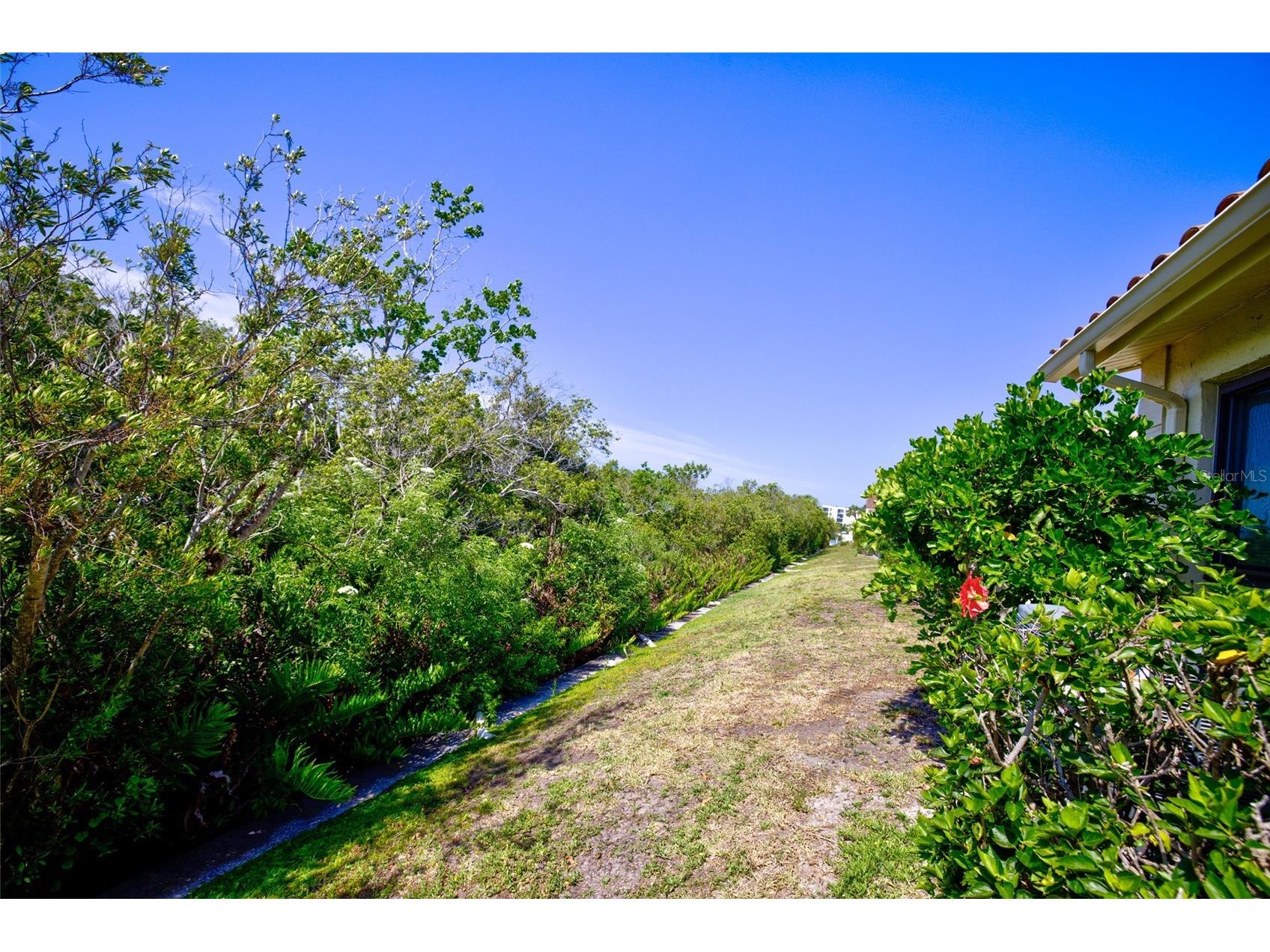 10134 Regal Drive #1 Largo FL 33774 TB8499581 image29