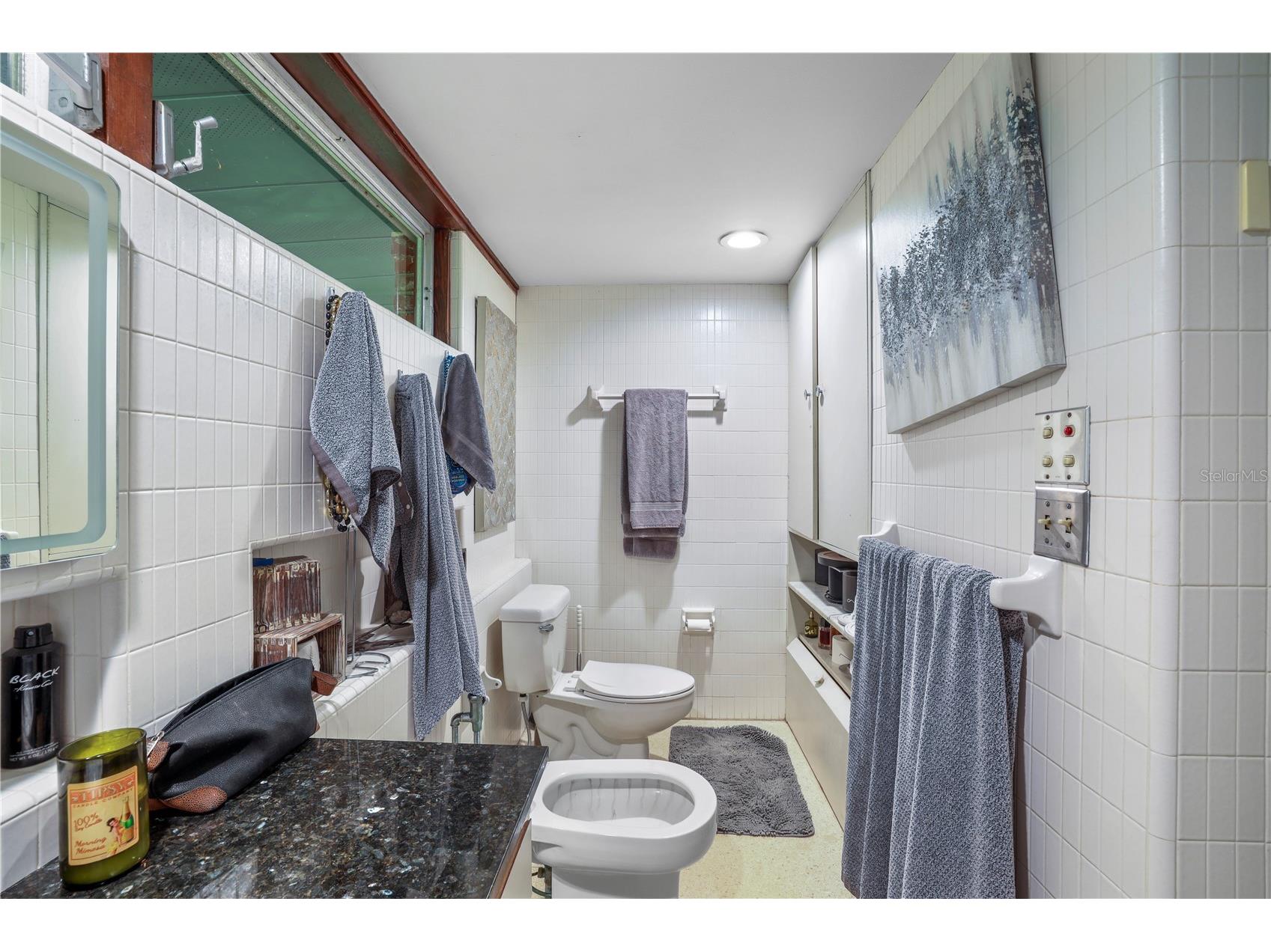 10134 White Trout Lane Tampa FL 33618 - LAKE AVIS TB8516965 image15