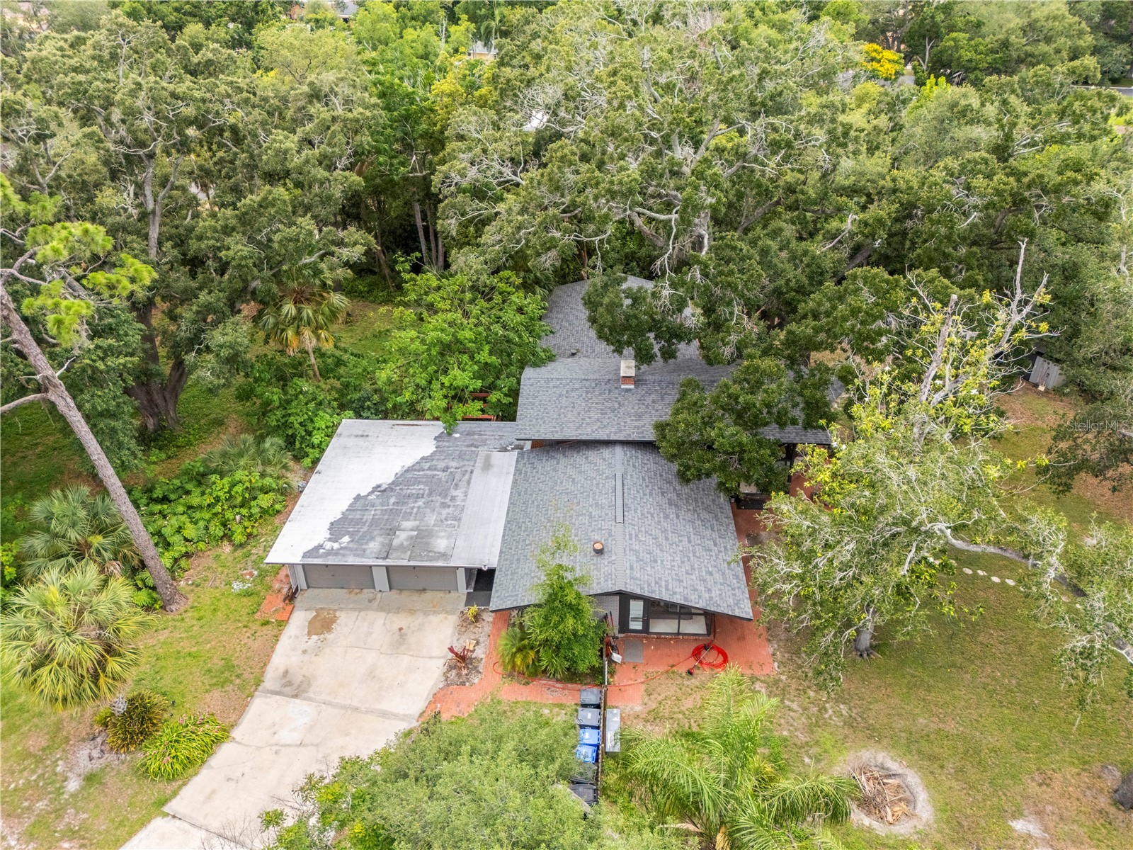 10134 White Trout Lane Tampa FL 33618 - LAKE AVIS TB8516965 image56