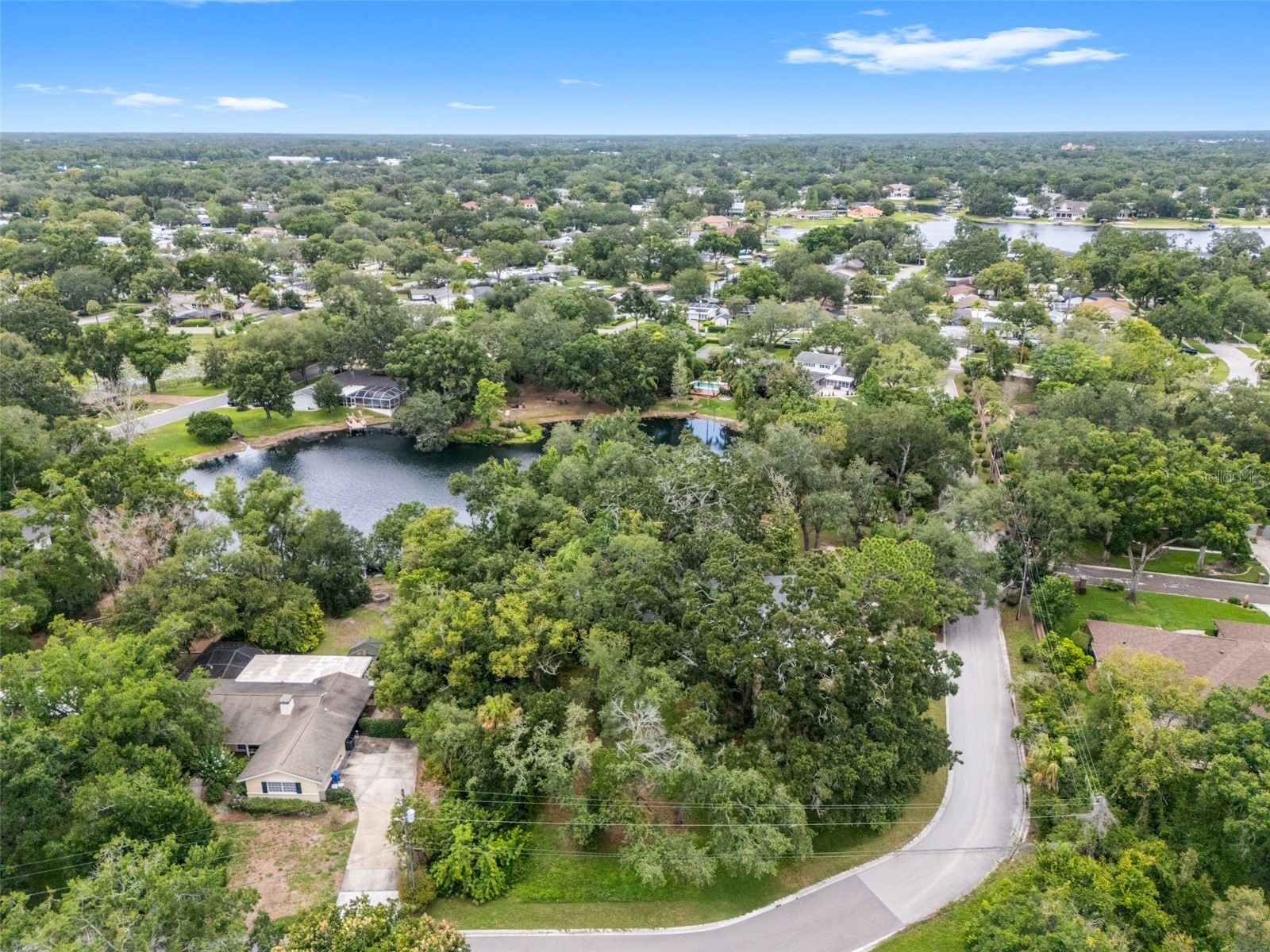 10134 White Trout Lane Tampa FL 33618 - LAKE AVIS TB8516965 image59