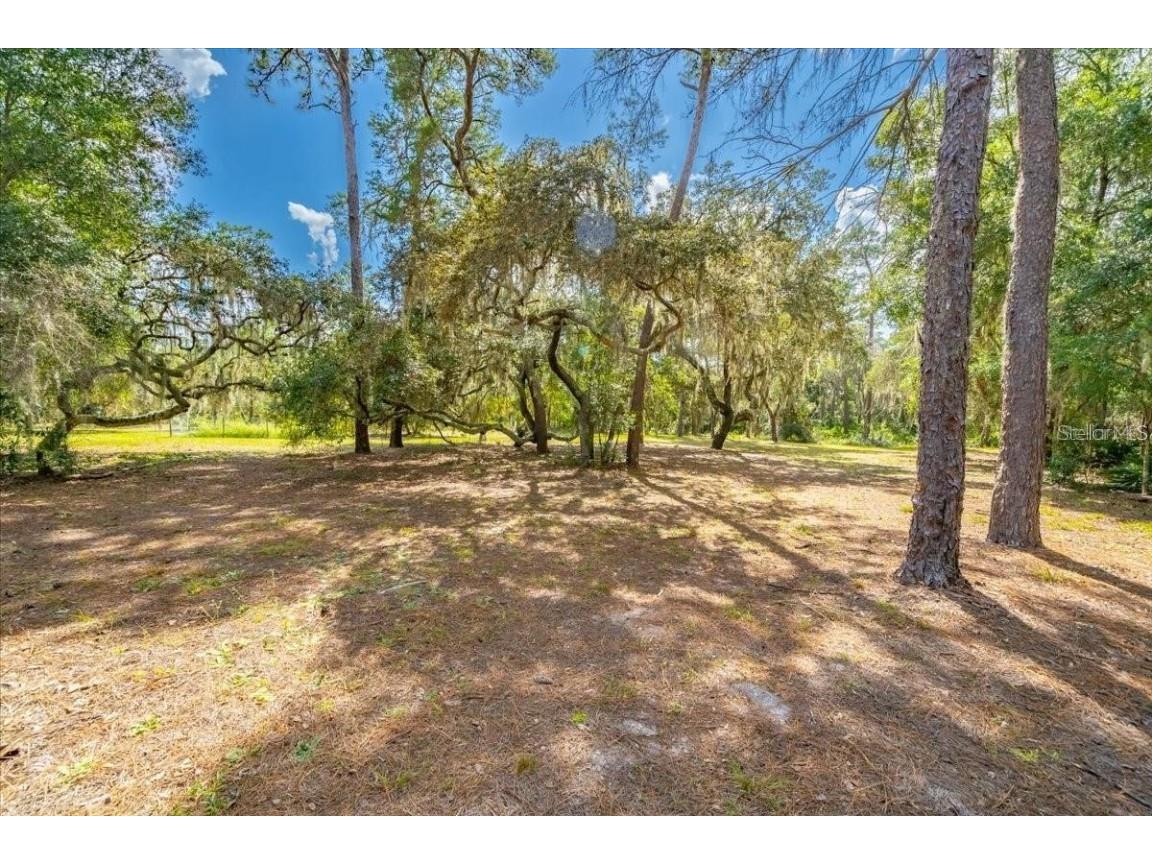 10134 Woodstock Road Odessa FL 33556 - LAKE CRESCENT J960852 image1