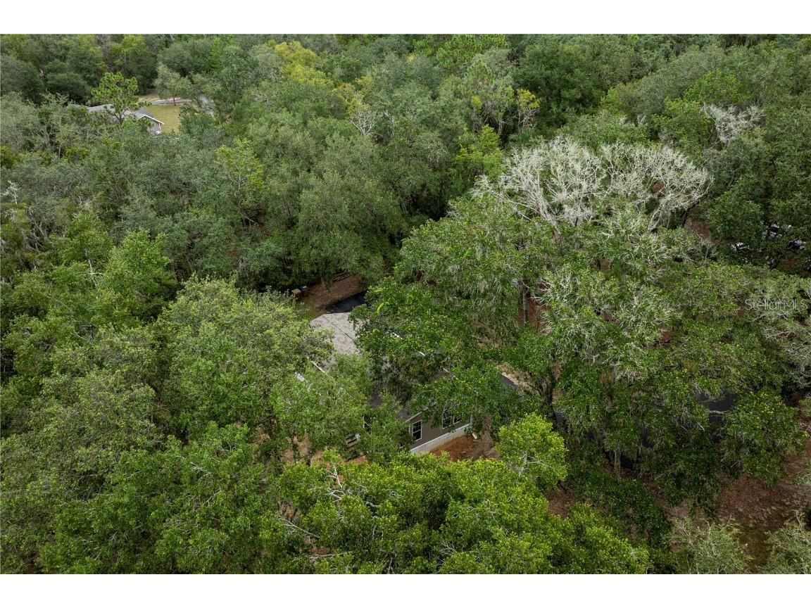 10135 N Em En El Grove Road Leesburg FL 34788 G5102923 image52