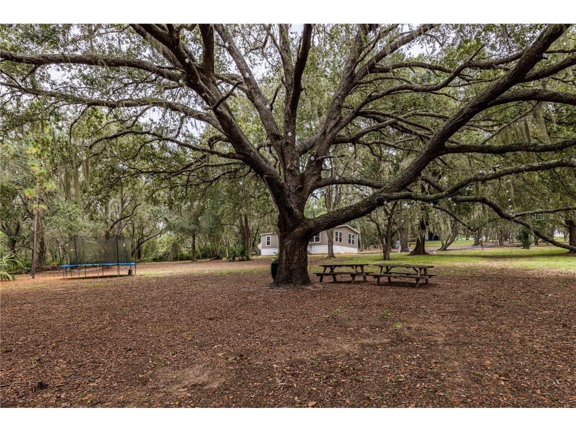 10135 N Em En El Grove Road Leesburg FL 34788 G5102923 image8