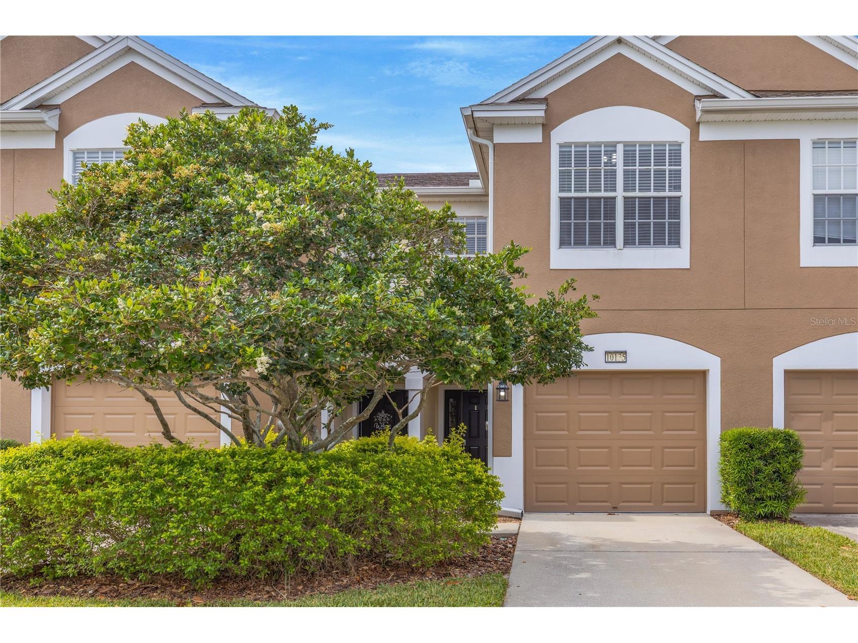 10135 Post Harvest Drive Riverview FL 33578 TB8508294 image1
