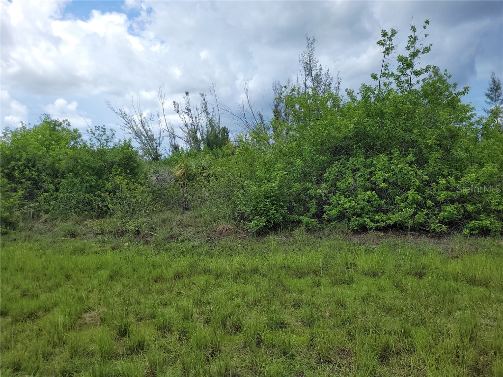 10136 Amy Terrace Port Charlotte FL 33981 D6137463 image2