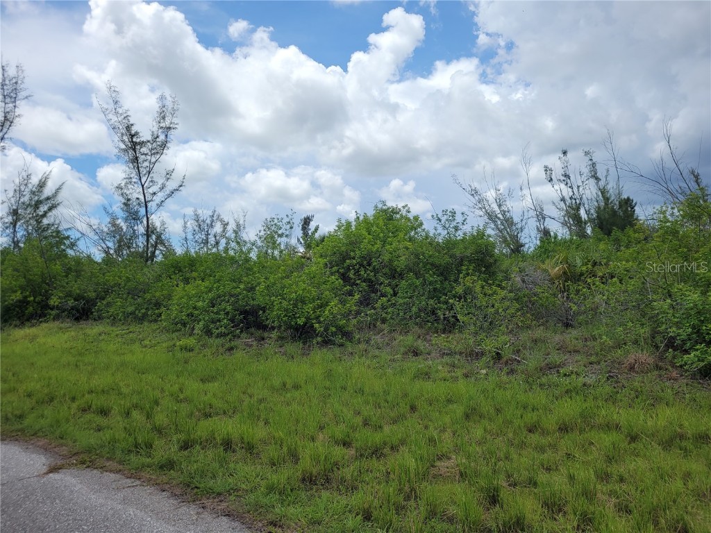 10136 Amy Terrace Port Charlotte FL 33981 D6137463 image3