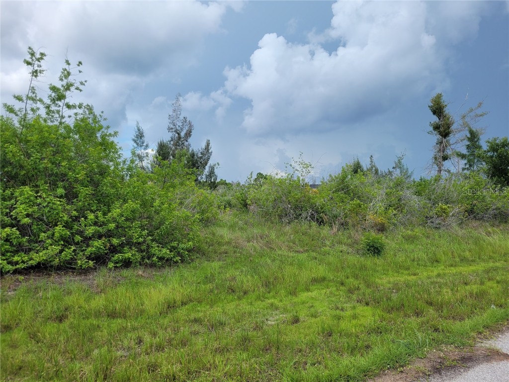 10136 Amy Terrace Port Charlotte FL 33981 D6137463 image4