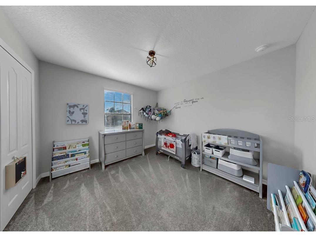 10136 Newminster Loop Ruskin FL 33573 TB8459267 image9