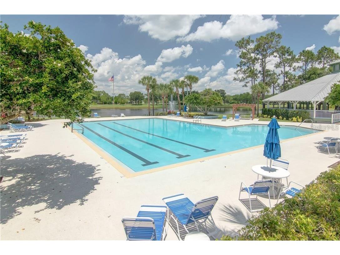 10137 Pink Carnation Court Orlando FL 32825 O6405783 image43