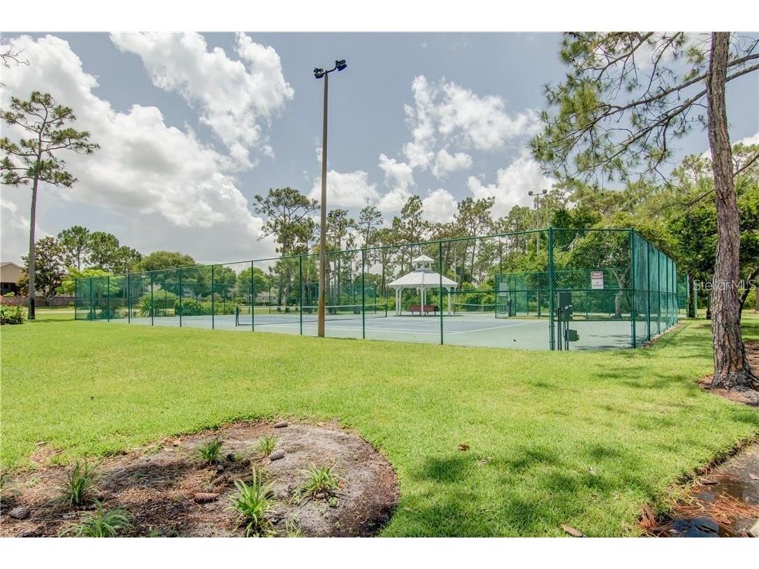 10137 Pink Carnation Court Orlando FL 32825 O6405783 image45