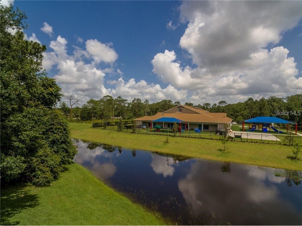 10137 Pink Carnation Court Orlando FL 32825 O6405783 image46
