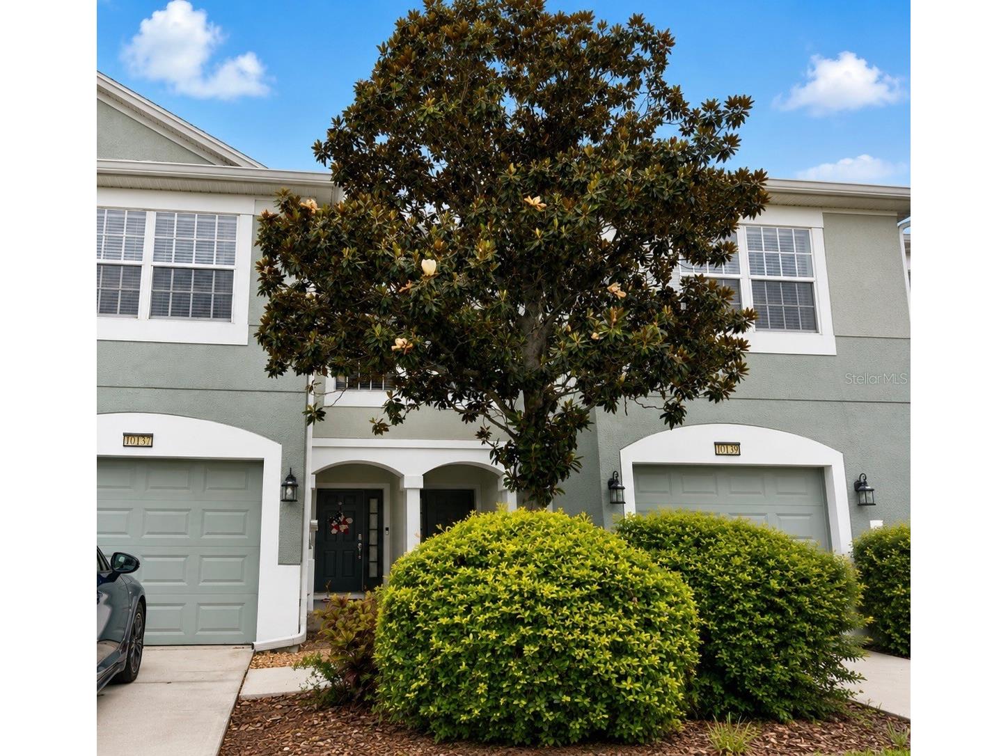 10137 Pink Palmata Court Riverview FL 33578 TB8514205 image1