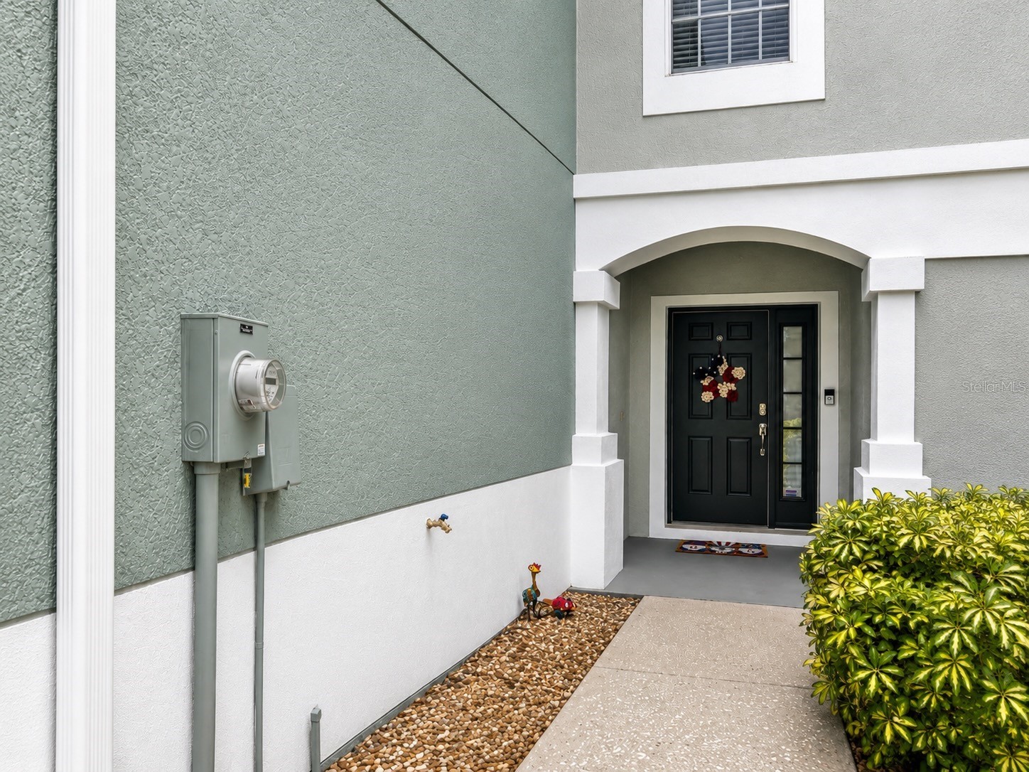 10137 Pink Palmata Court Riverview FL 33578 TB8514205 image2
