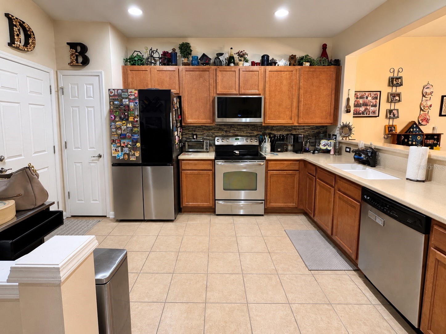 10137 Pink Palmata Court Riverview FL 33578 TB8514205 image3