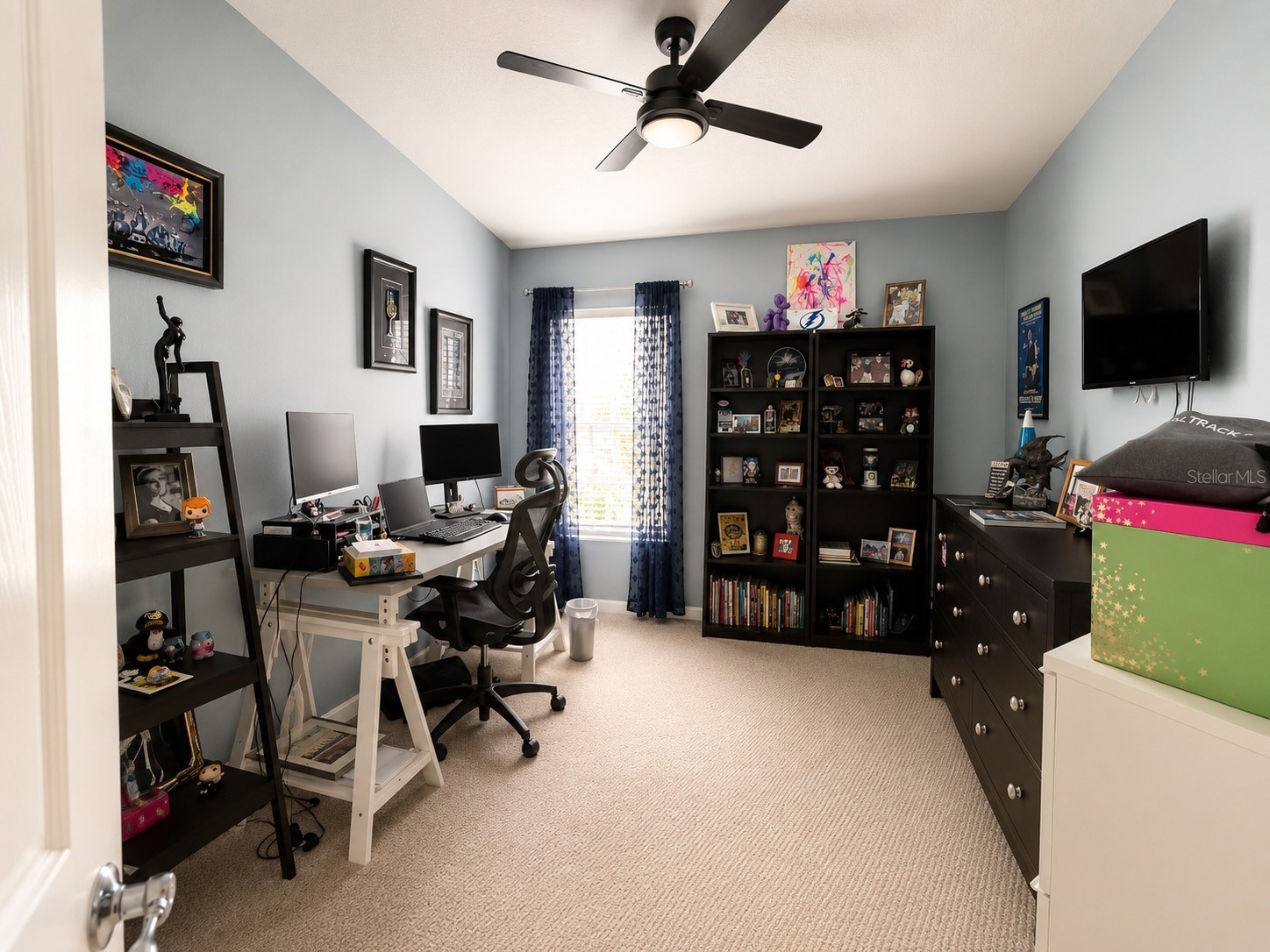 10137 Pink Palmata Court Riverview FL 33578 TB8514205 image9