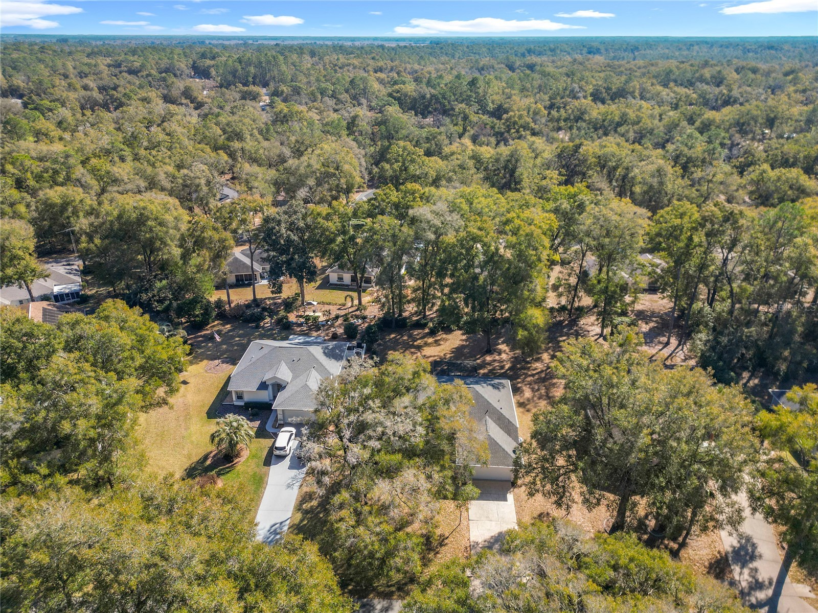 10137 SW 192nd Circle Dunnellon FL 34432 OM717665 image2