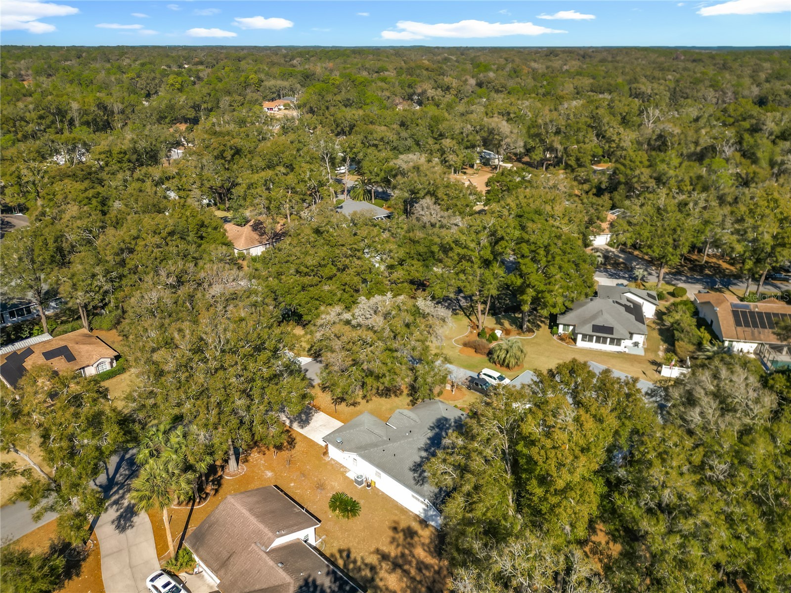 10137 SW 192nd Circle Dunnellon FL 34432 OM717665 image57