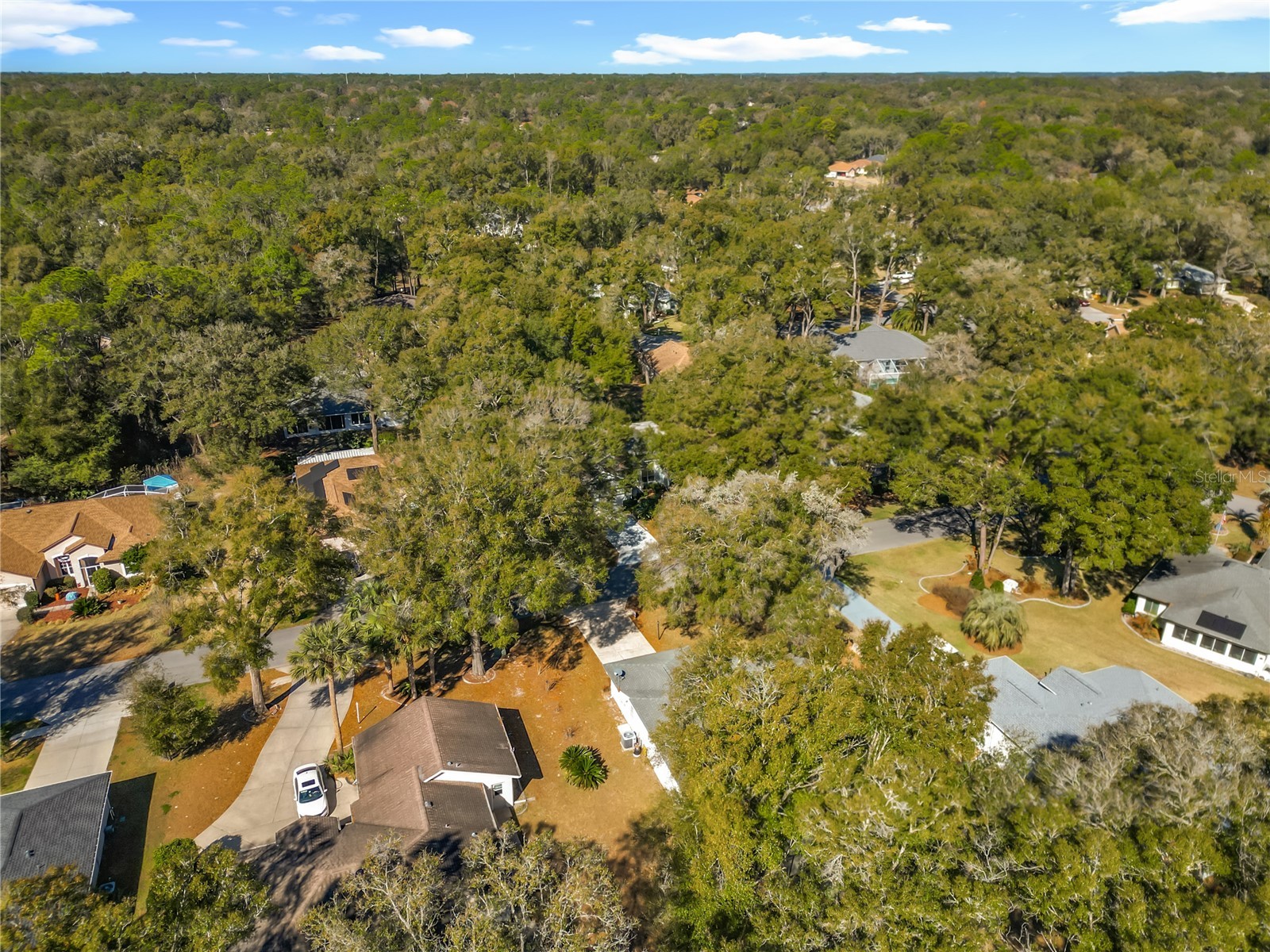 10137 SW 192nd Circle Dunnellon FL 34432 OM717665 image58