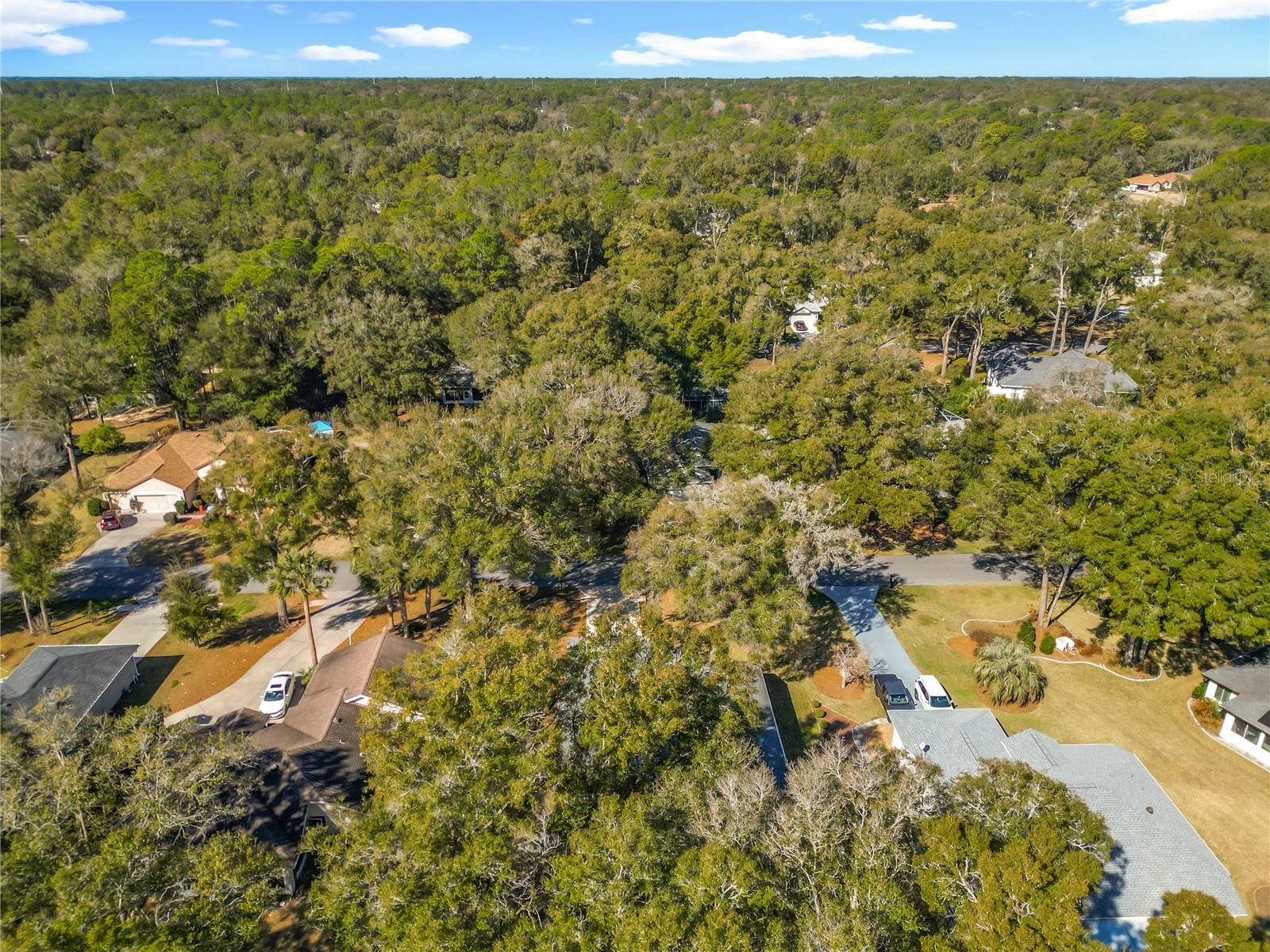 10137 SW 192nd Circle Dunnellon FL 34432 OM717665 image59