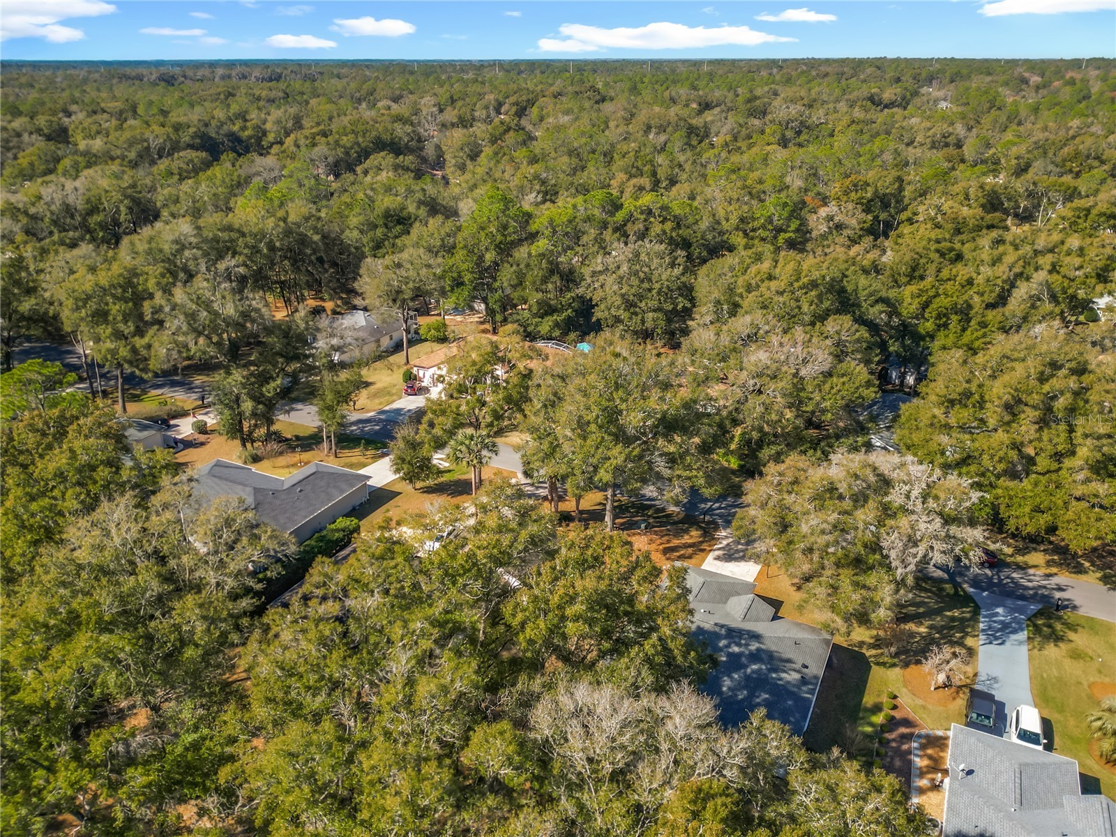 10137 SW 192nd Circle Dunnellon FL 34432 OM717665 image60