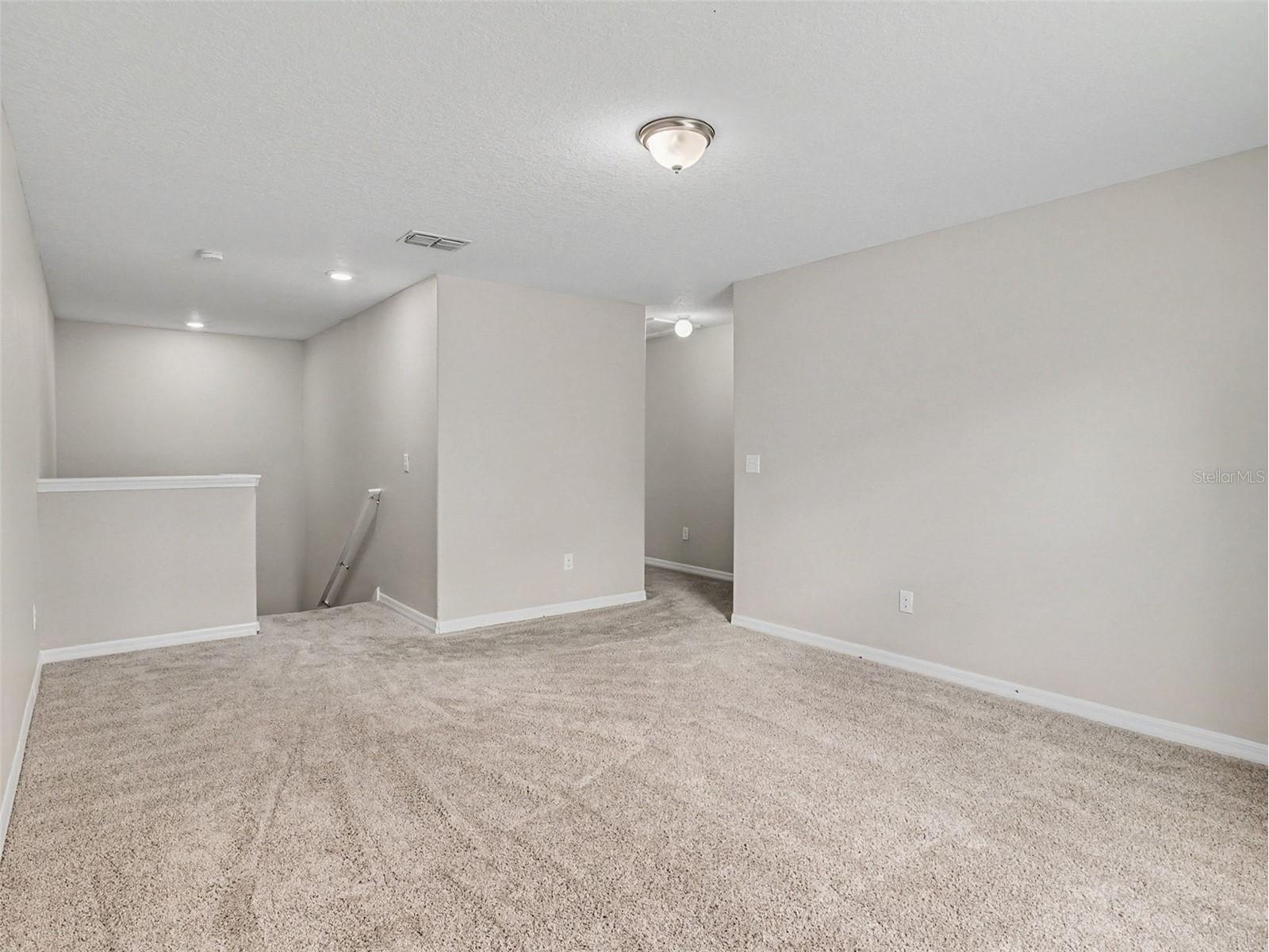10138 Rose Petal Place Riverview FL 33578 O6421755 image12