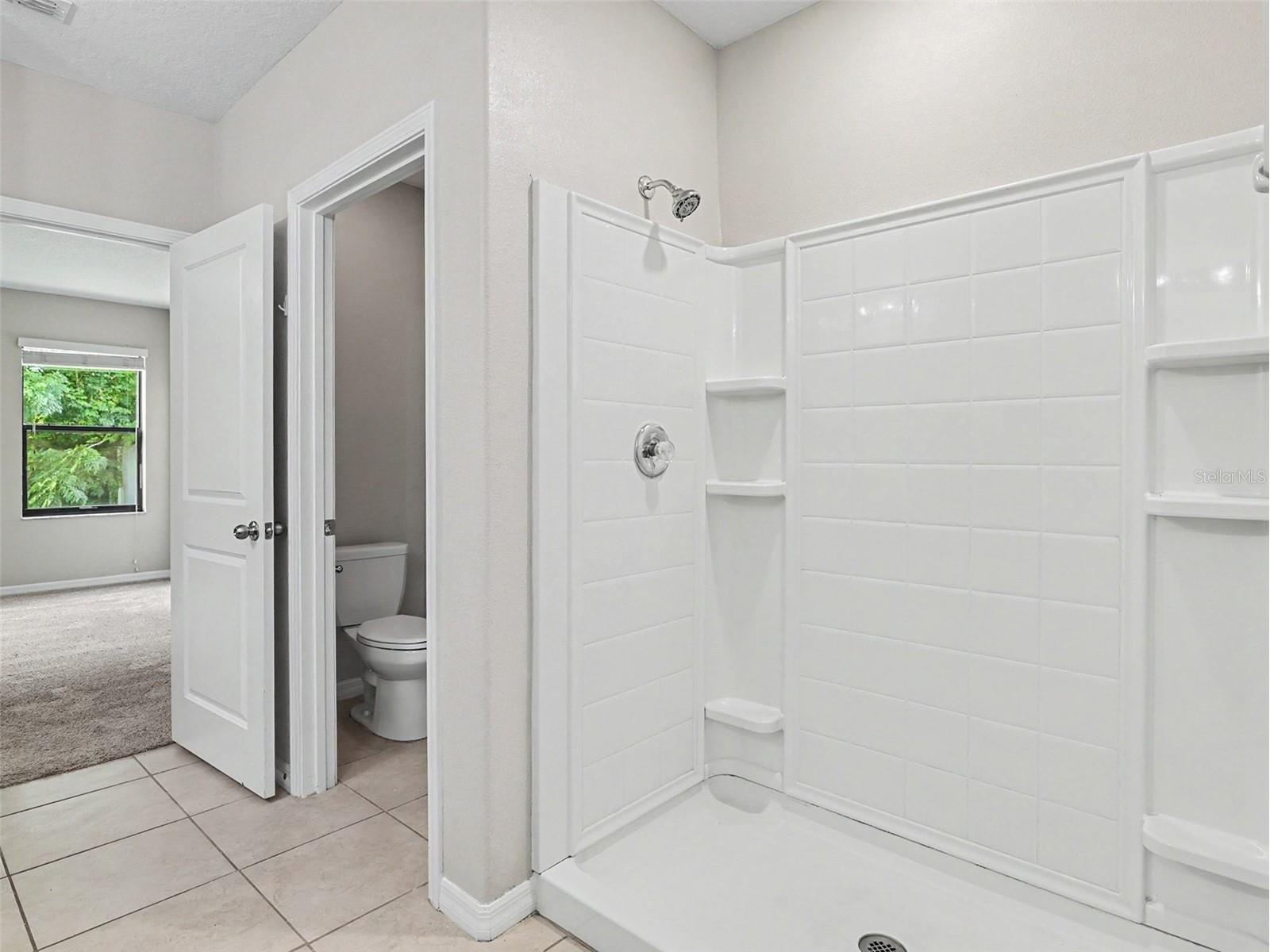 10138 Rose Petal Place Riverview FL 33578 O6421755 image17