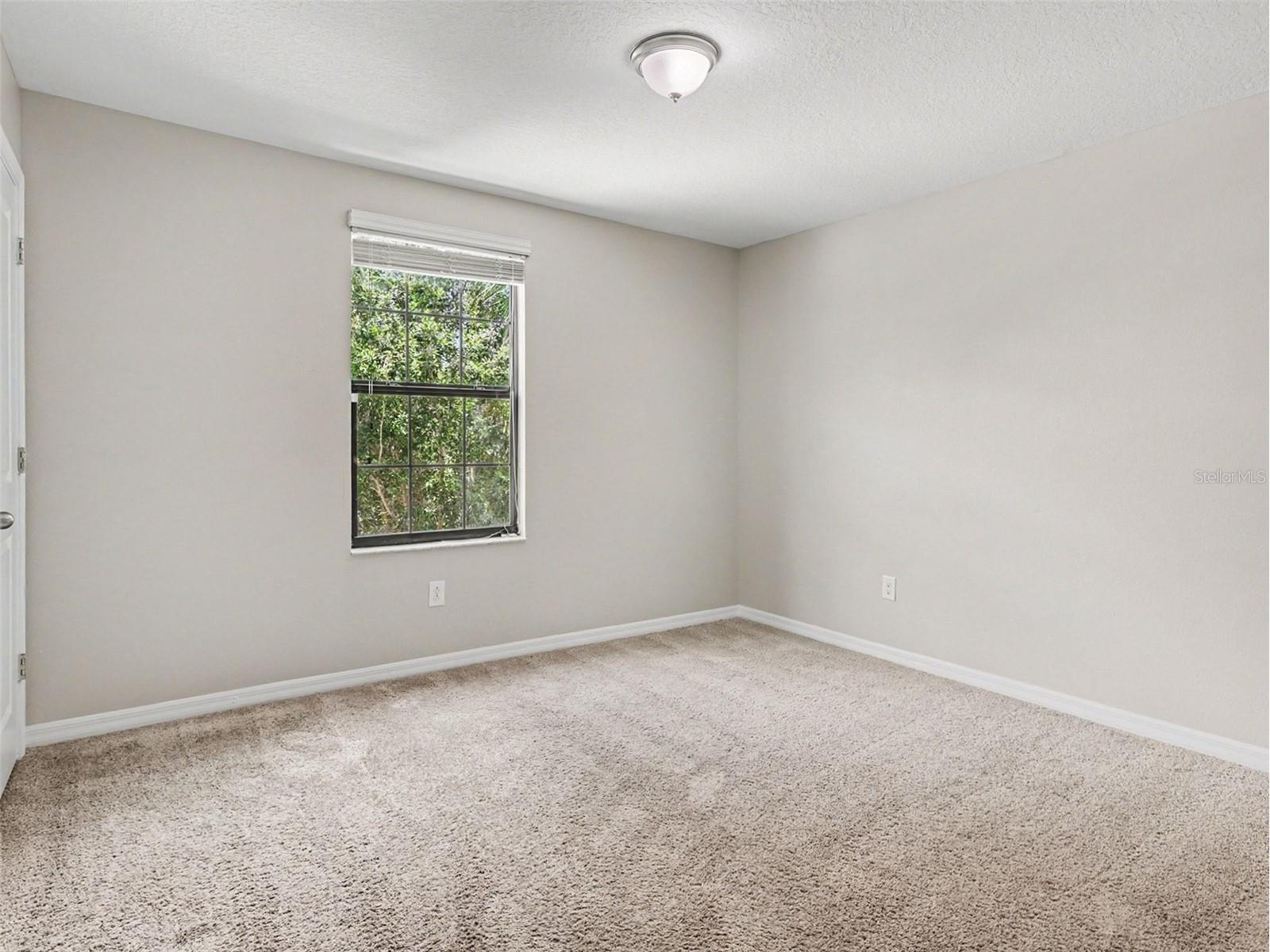 10138 Rose Petal Place Riverview FL 33578 O6421755 image21