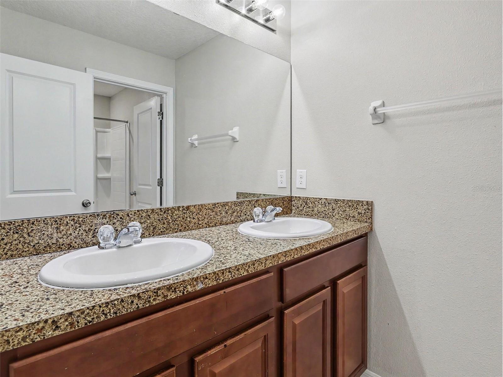 10138 Rose Petal Place Riverview FL 33578 O6421755 image26