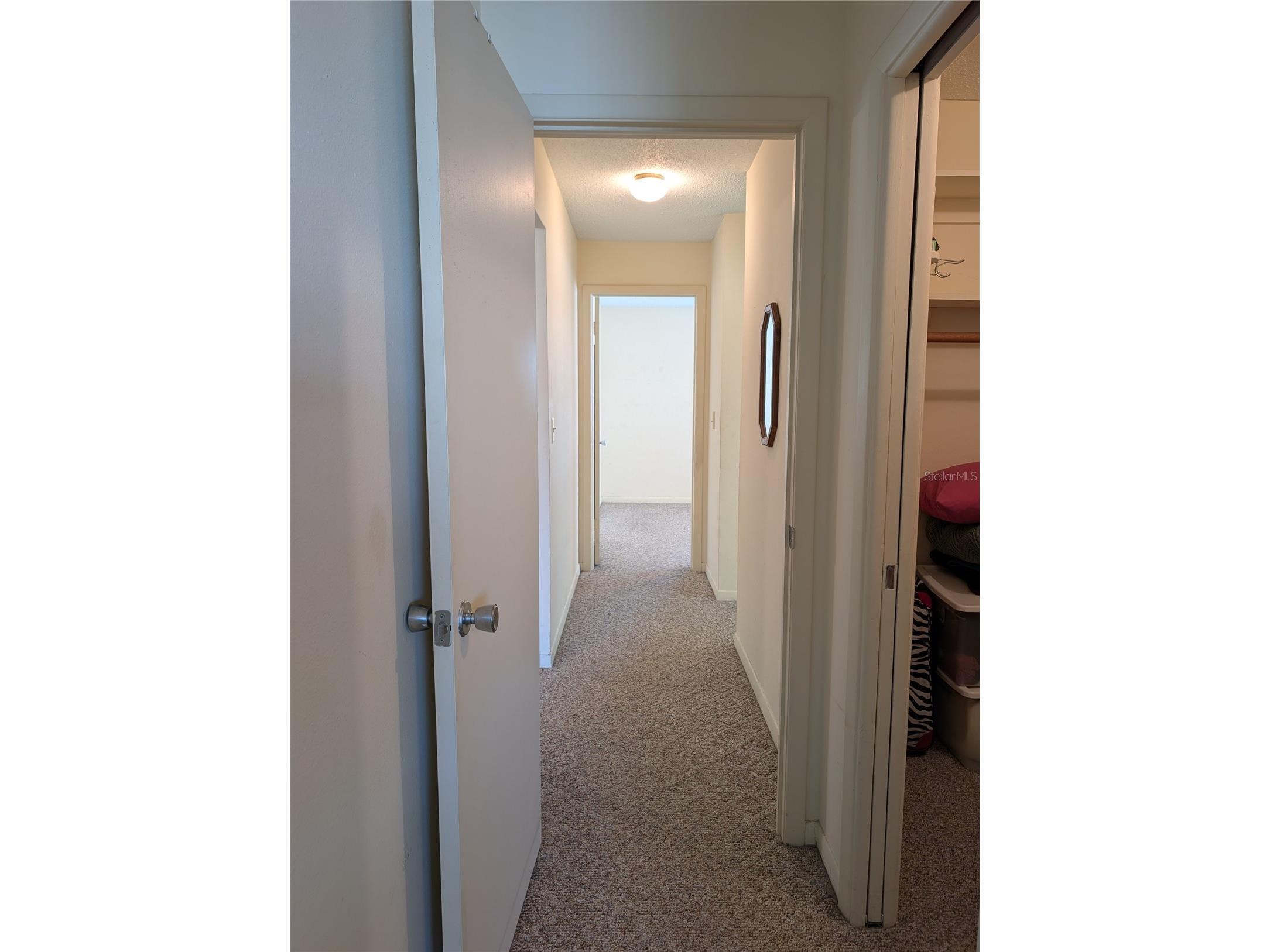 10139 44th Way N Pinellas Park FL 33782 TB8472916 image34