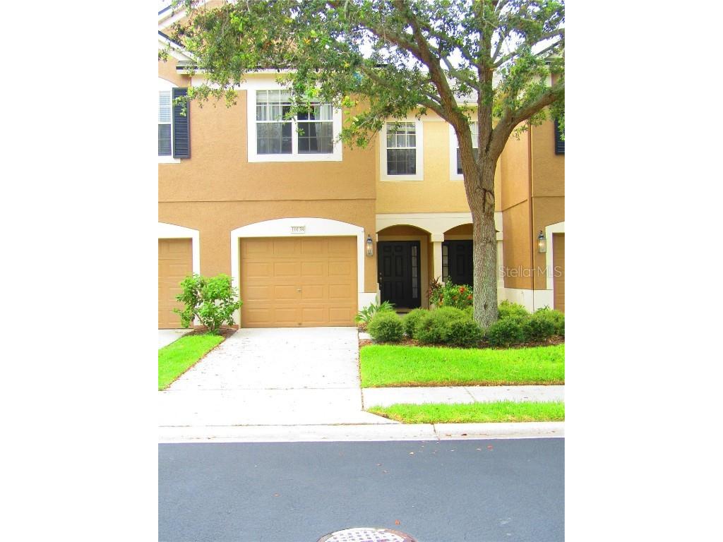 10139 Haverhill Ridge Drive Riverview FL 33578 T3466731 image1
