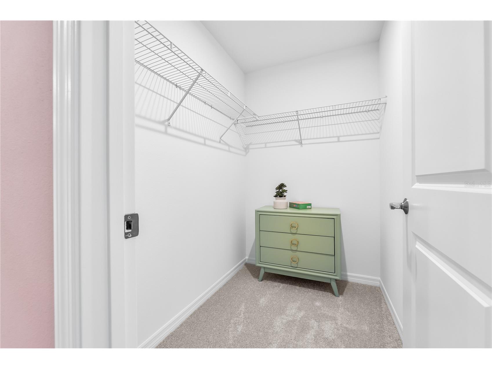 10139 Morning Meadowlark Trail Parrish FL 34219 TB8490055 image43