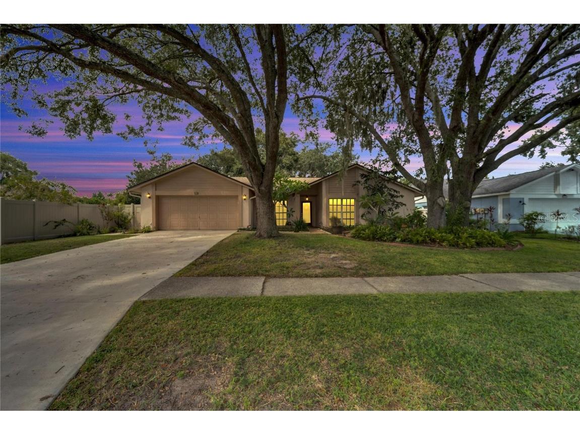 10139 Tarragon Drive Riverview FL 33569 T3474193 image1