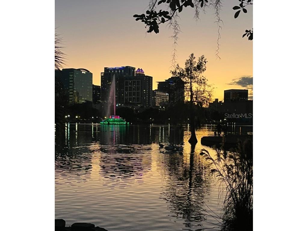 1014 E South Street #16 Orlando FL 32801 O6365920 image13