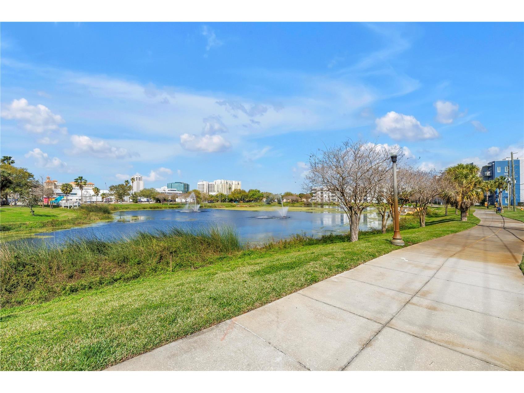 1014 Ewing Place Clearwater FL 33756 TB8481852 image37