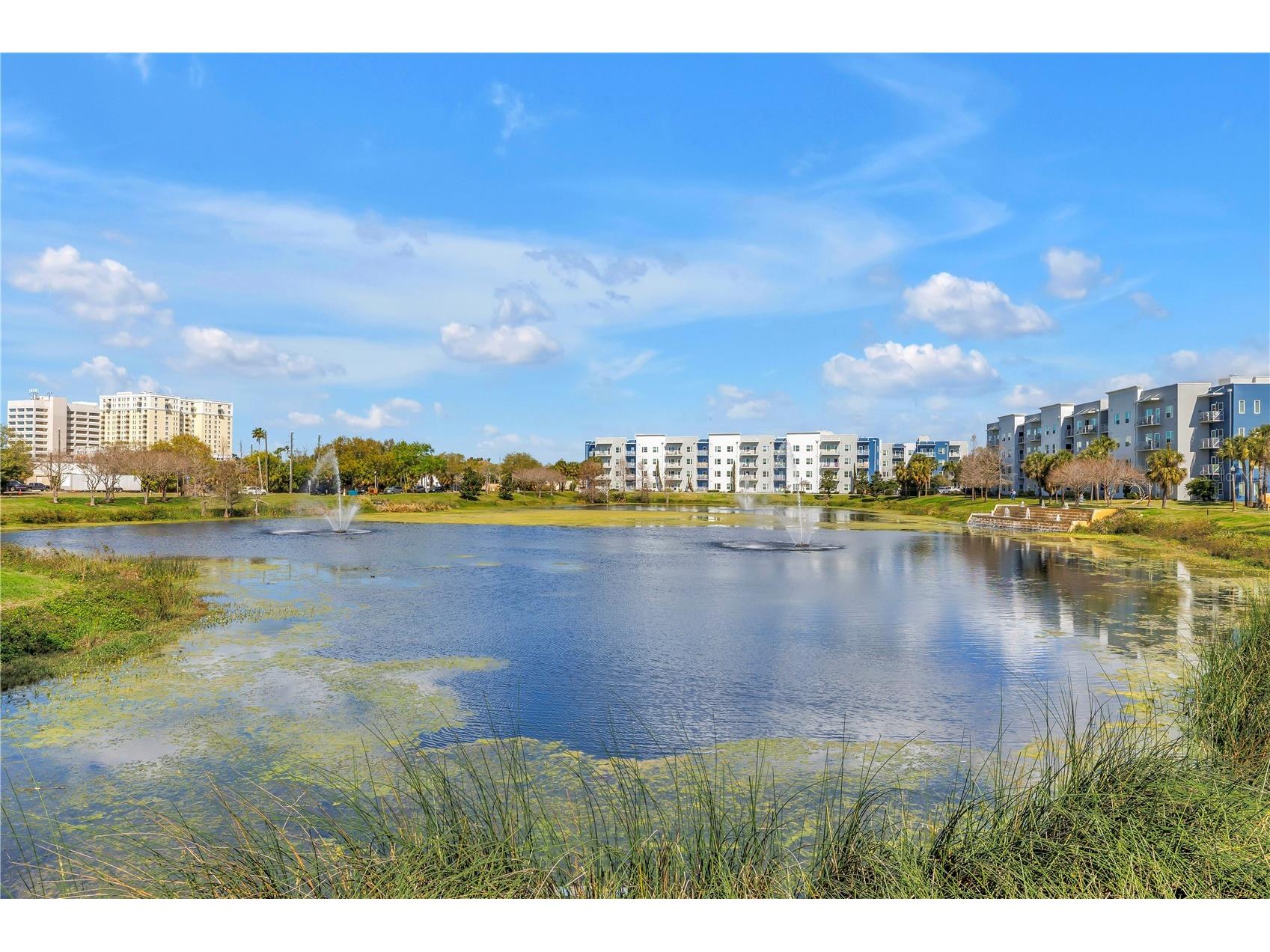 1014 Ewing Place Clearwater FL 33756 TB8481852 image39
