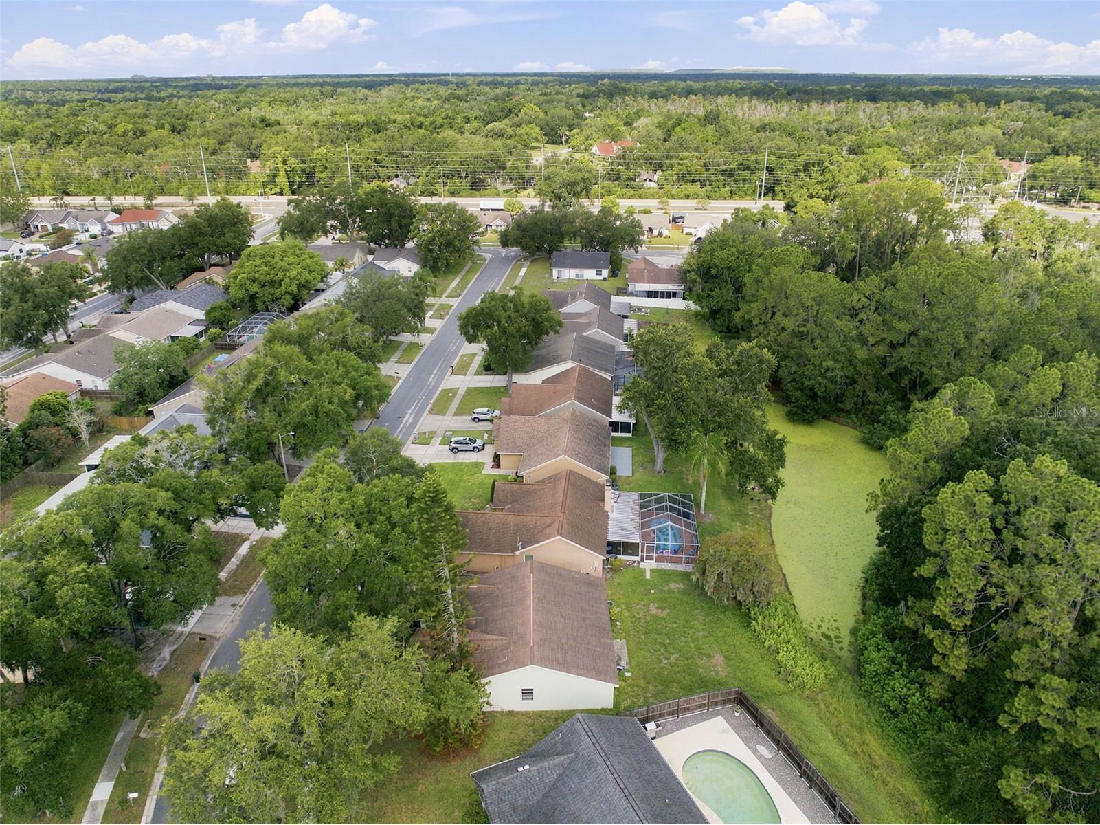 1014 Hardwood Drive Valrico FL 33596 TB8526886 image42