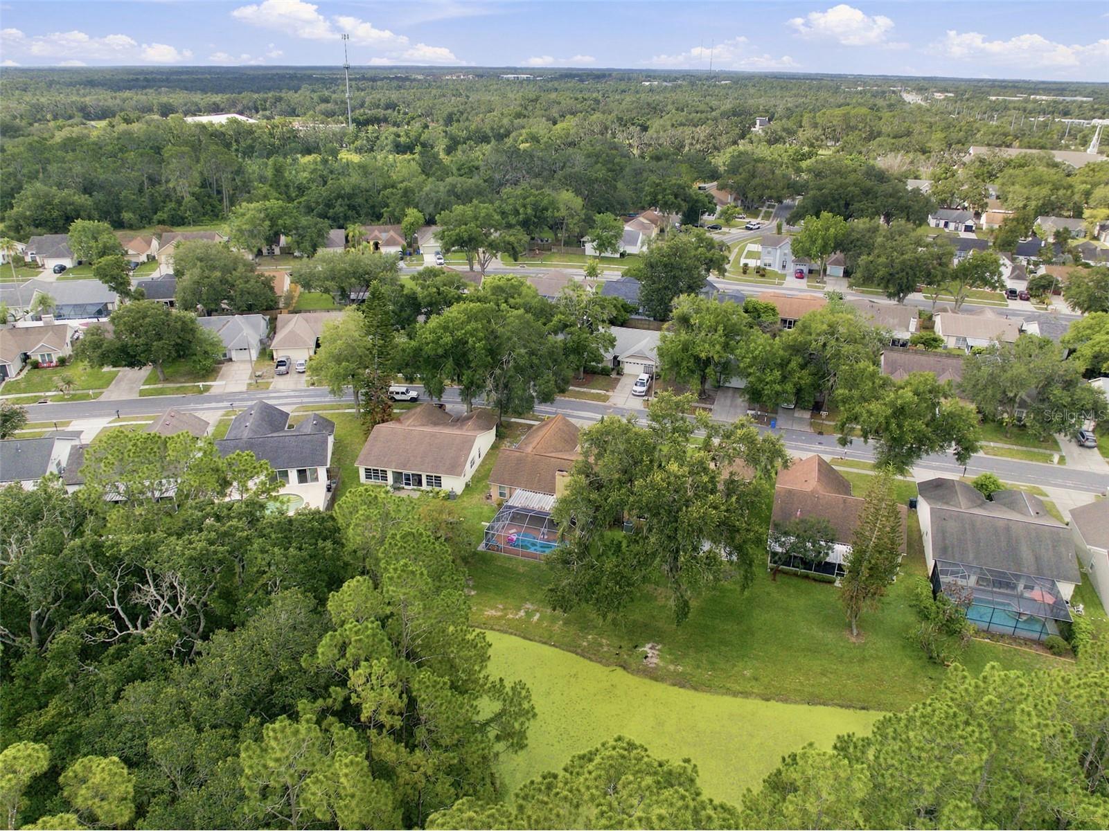 1014 Hardwood Drive Valrico FL 33596 TB8526886 image43