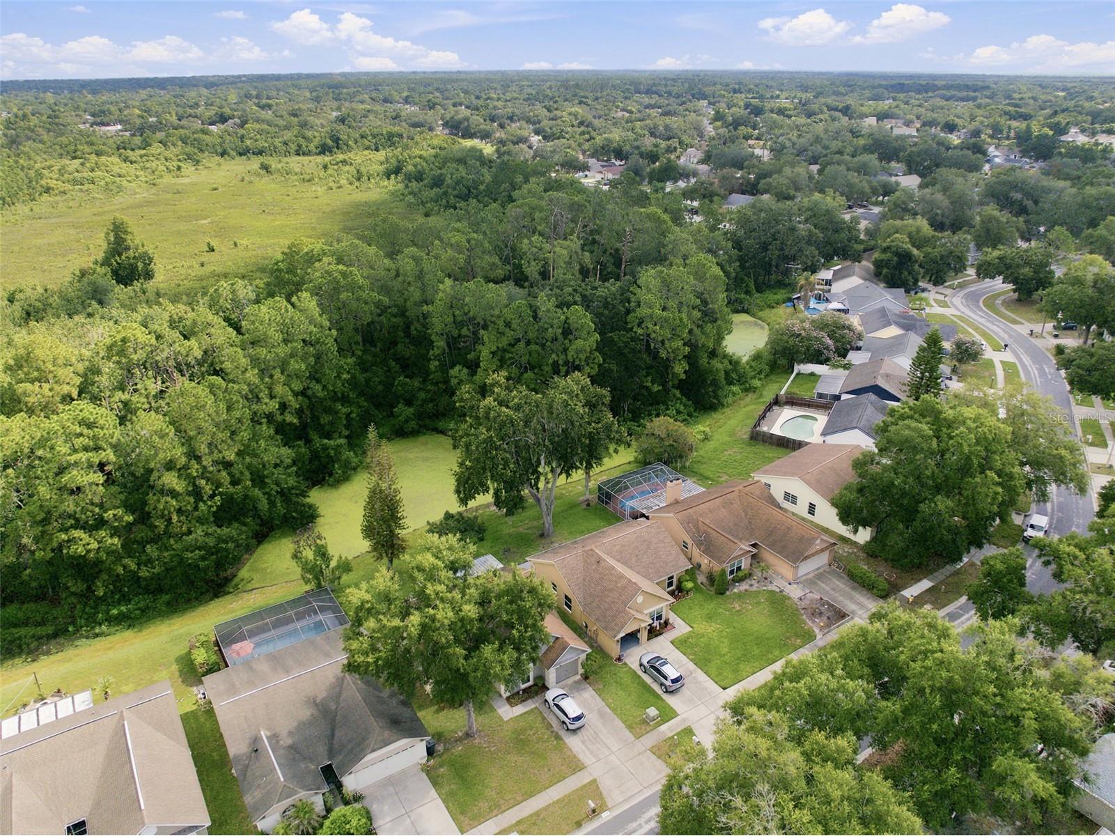 1014 Hardwood Drive Valrico FL 33596 TB8526886 image44