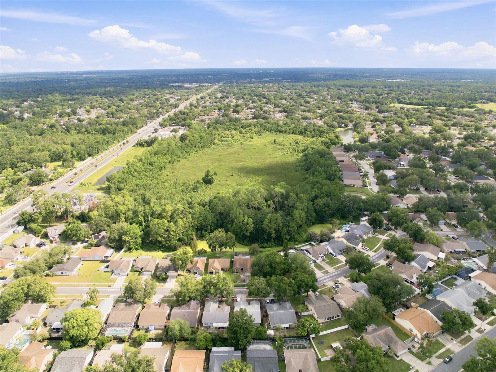 1014 Hardwood Drive Valrico FL 33596 TB8526886 image45